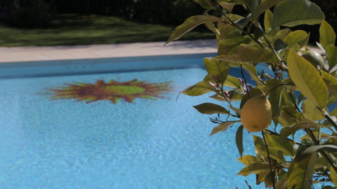 Corte Delle Cicale Bed & Breakfast Bardolino Bagian luar foto